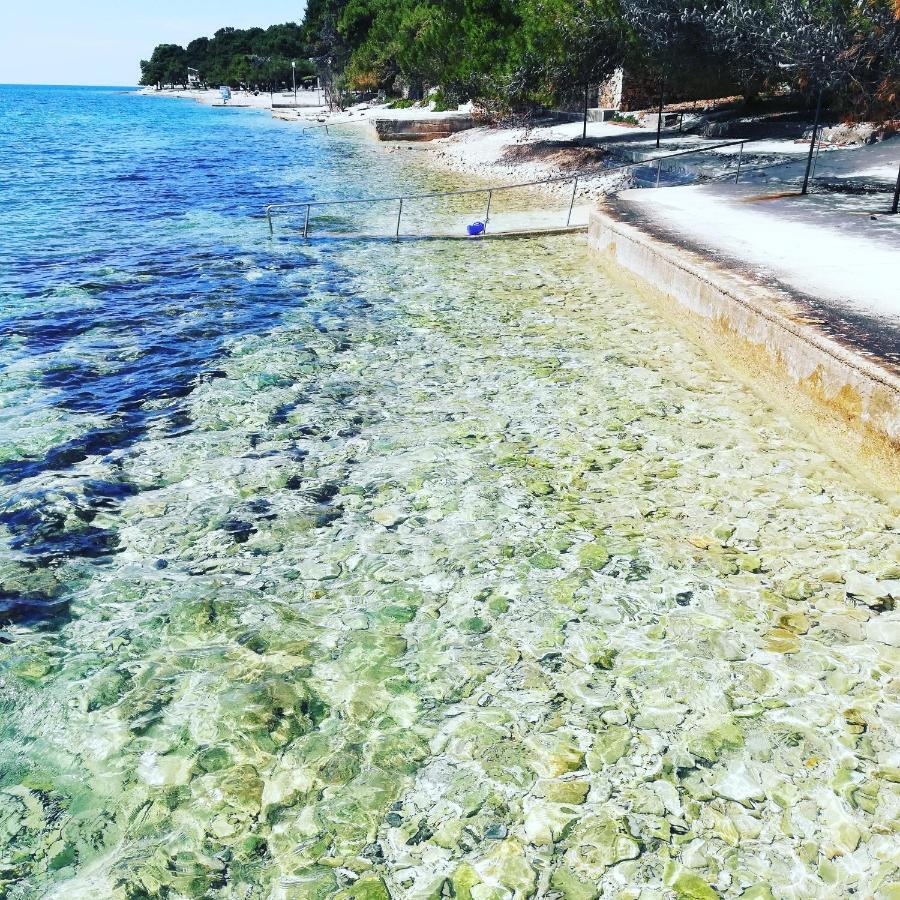 Apartmani Matas Petrcane Εξωτερικό φωτογραφία