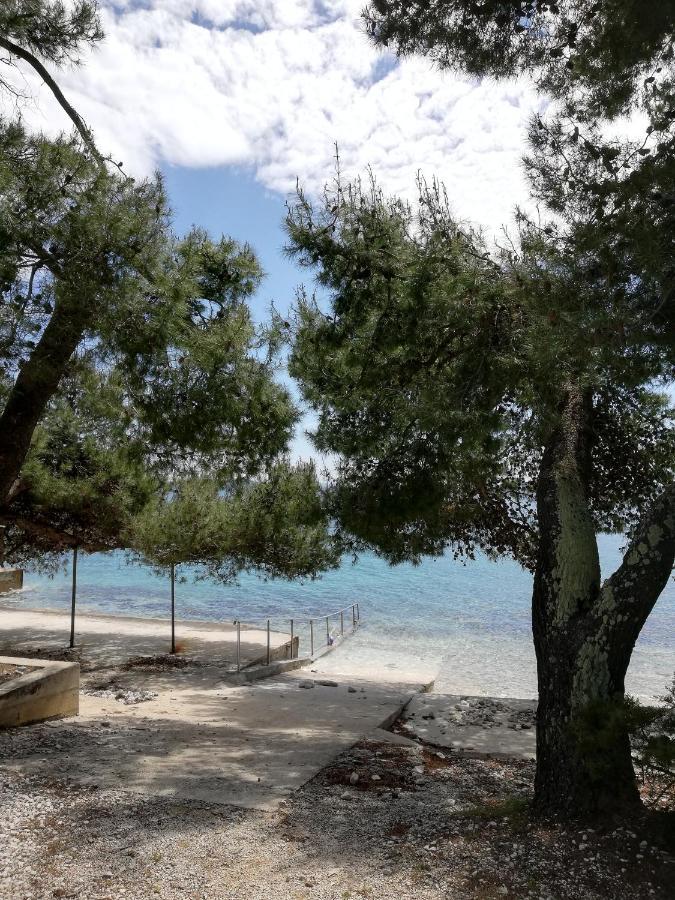 Apartmani Matas Petrcane Εξωτερικό φωτογραφία